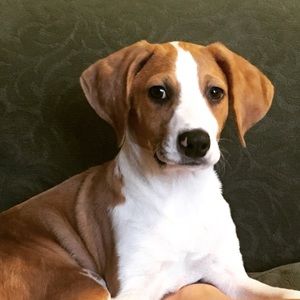 Meet your Posher, Gary